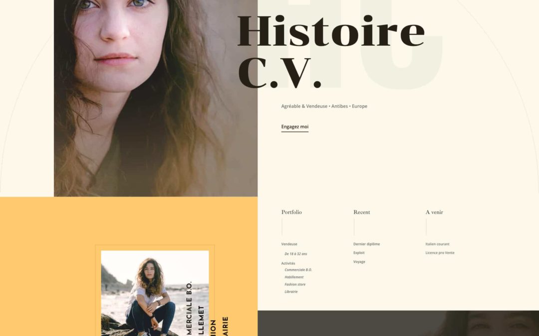 Du bon usage du C.V. en ligne